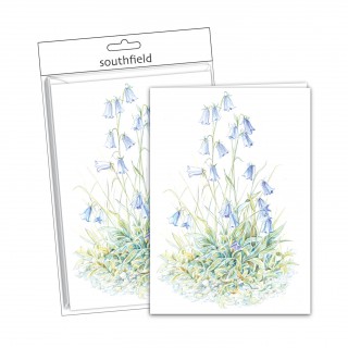 Bluebells Cards/Envs product image